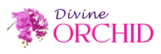 divineorchid.co.in